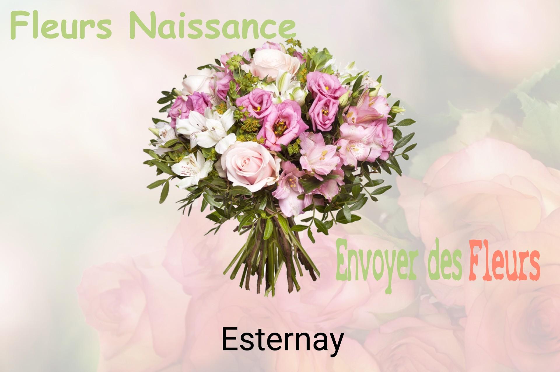 Bouquet de fleurs de naissance livré à Esternay